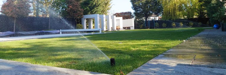 Read more about the article A Symphony of Green: Celebrating a Flourishing Garden and a Delighted Client