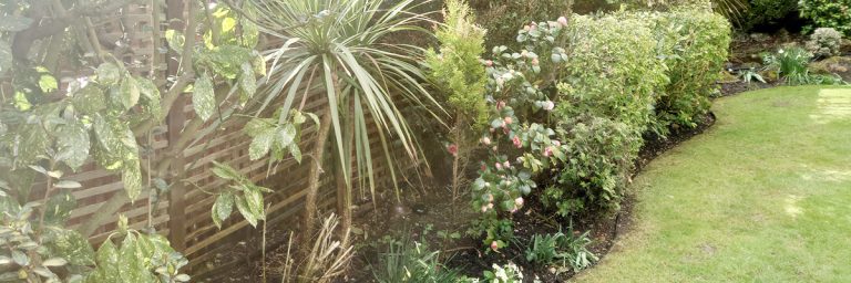 Read more about the article Timeless Durability: A Testament to the Quality of Our Irrigation Systems